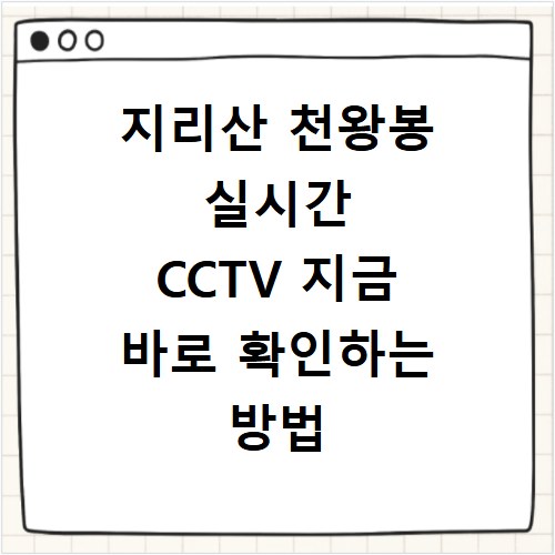 지리산 천왕봉 실시간 CCTV 지금 바로 확인하는 방법