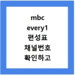 mbc every1 편성표 채널번호 확인하고 홈페이지 바로가기