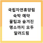 국립자연휴양림 숙박 예약 꿀팁과 숨겨진 명소까지 모두 알려드림