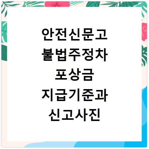 안전신문고 불법주정차 포상금 지급기준과 신고사진 촬영방법