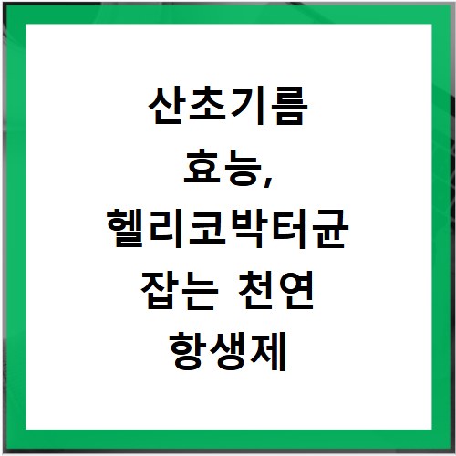 산초기름 효능, 헬리코박터균 잡는 천연 항생제 효과와 복용법