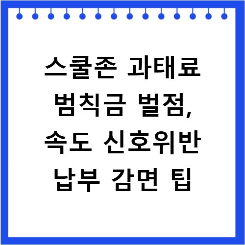 스쿨존 과태료 범칙금 벌점, 속도 신호위반 납부 감면 팁
