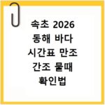 속초 2026 동해 바다 시간표 만조 간조 물때 확인법