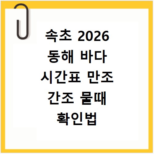 속초 2026 동해 바다 시간표 만조 간조 물때 확인법