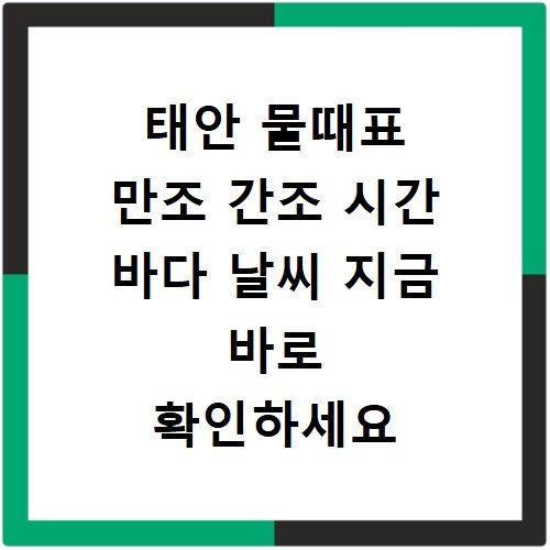 태안 물때표 만조 간조 시간 바다 날씨 지금 바로 확인하세요