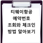 티웨이항공 예약번호 조회와 체크인 방법 알아보기