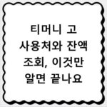 티머니 고 사용처와 잔액 조회, 이것만 알면 끝나요