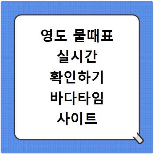 영도 물때표 실시간 확인하기 바다타임 사이트 바로가기