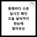 동해바다 수온 실시간 확인 오늘 날씨까지 한눈에 알아보는 법