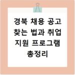 경북 채용 공고 찾는 법과 취업 지원 프로그램 총정리