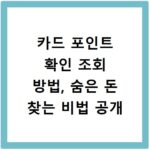 카드 포인트 확인 조회 방법, 숨은 돈 찾는 비법 공개