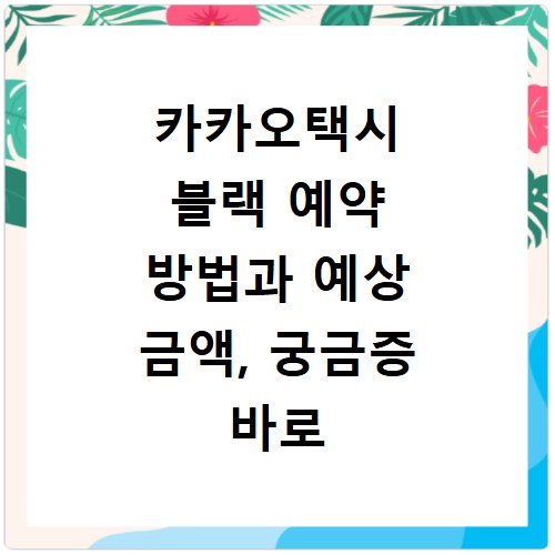 카카오택시 블랙 예약 방법과 예상 금액, 궁금증 바로 해결