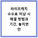 라이프캐치 수수료 미납 시 해결 방법과 기간, 놓치면 안 돼요