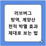 러브버그 방역, 계양산 천적 박멸 효과 제대로 보는 법