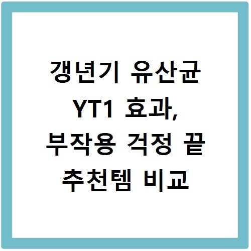 갱년기 유산균 YT1 효과, 부작용 걱정 끝 추천템 비교