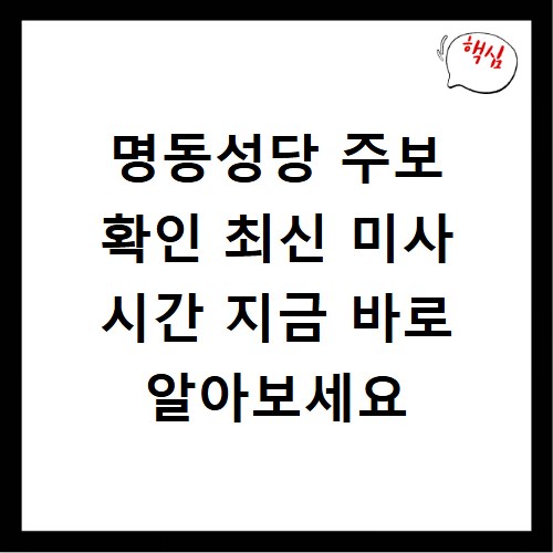 명동성당 주보 확인 최신 미사 시간 지금 바로 알아보세요