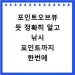 포인트오브뷰 뜻 정확히 알고 낚시 포인트까지 한번에 확인
