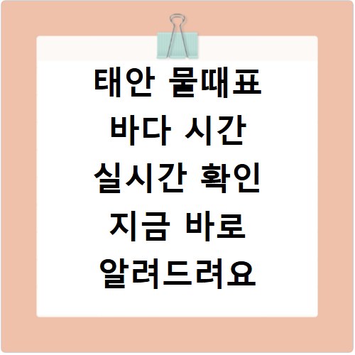 태안 물때표 바다 시간 실시간 확인 지금 바로 알려드려요