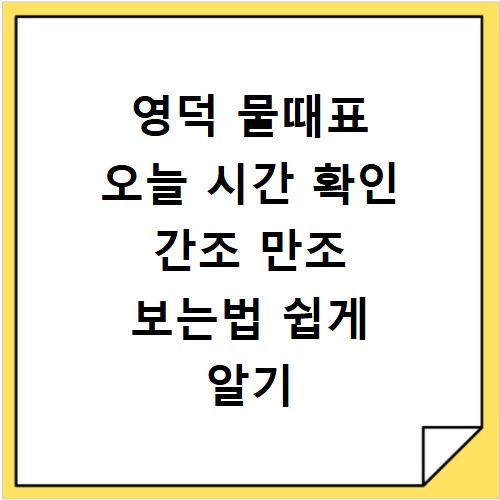영덕 물때표 오늘 시간 확인 간조 만조 보는법 쉽게 알기